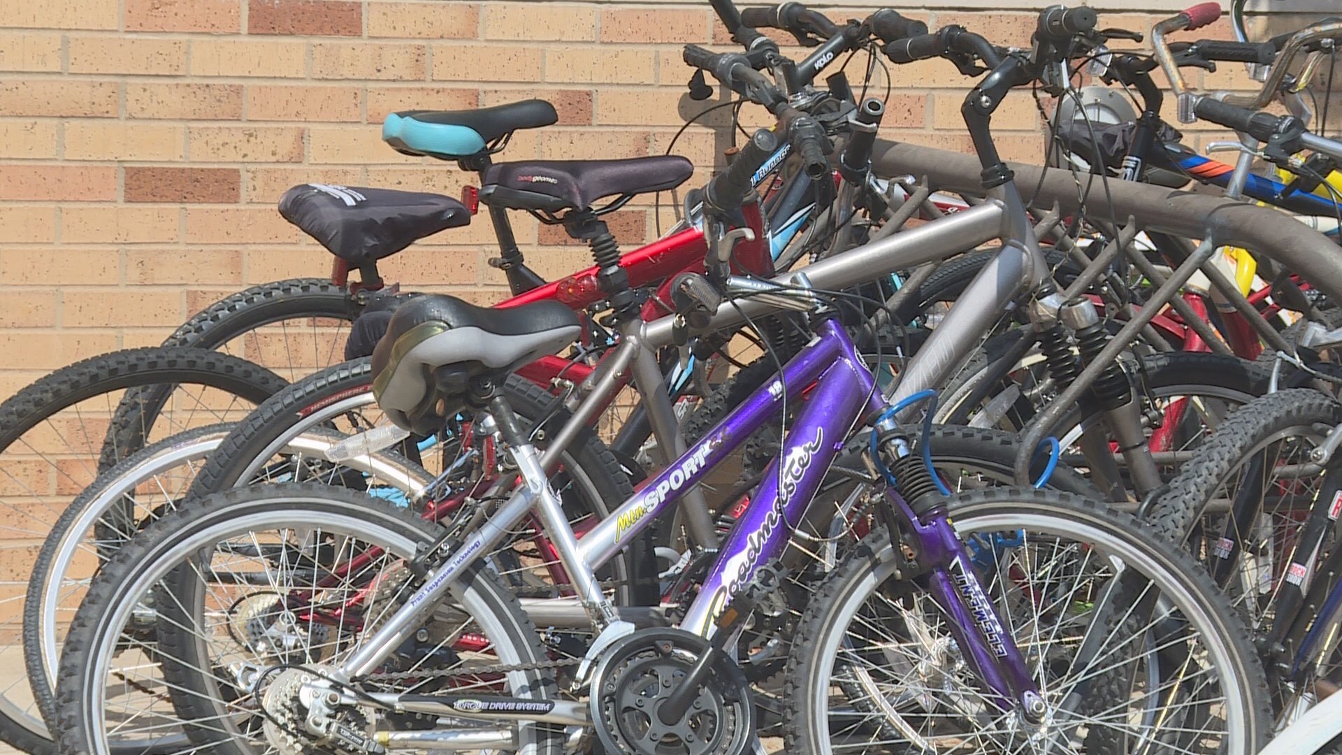 Bicycles on campus