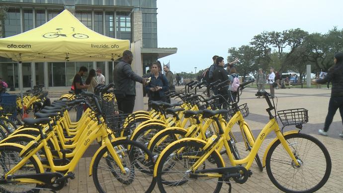 ofo bikes on bike racks