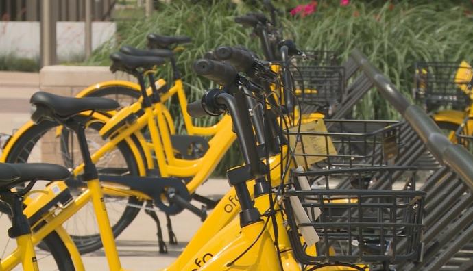 ofo bikes on campus